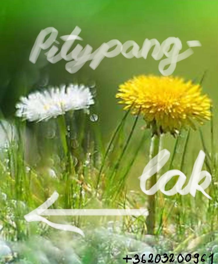 Pitypang Lak Apartment Szigetmonostor Екстериор снимка